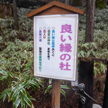 旅情報　その912.　二荒山神社（4）