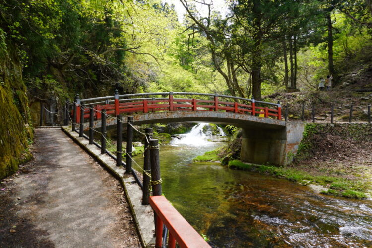 DSC04304