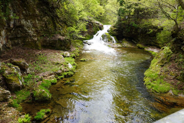 DSC04306