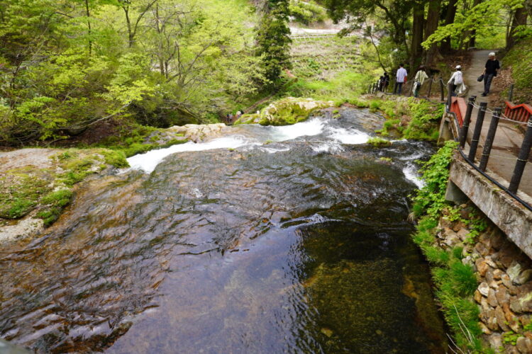 DSC04308