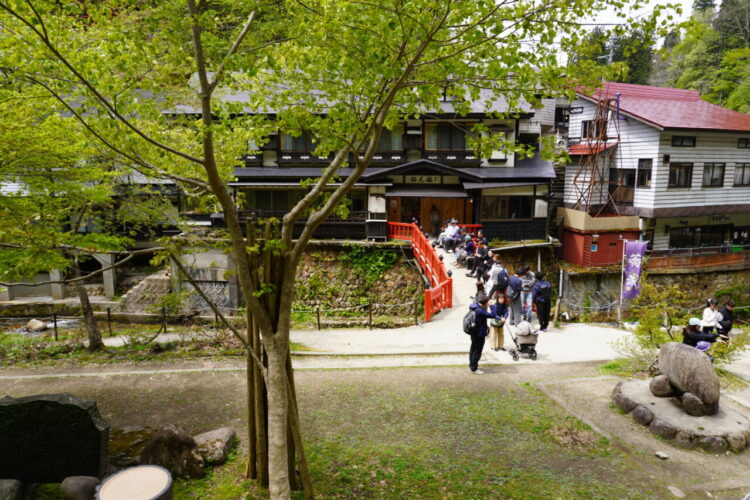 DSC04318