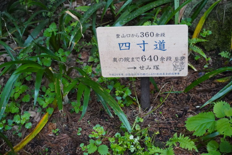 DSC04502
