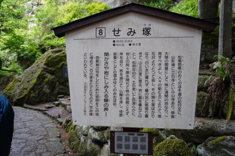 DSC04515